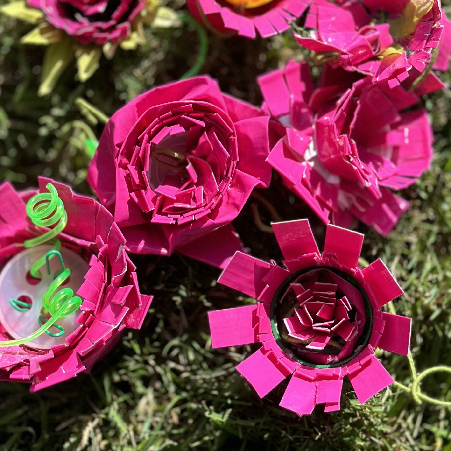 In the Pink of Things