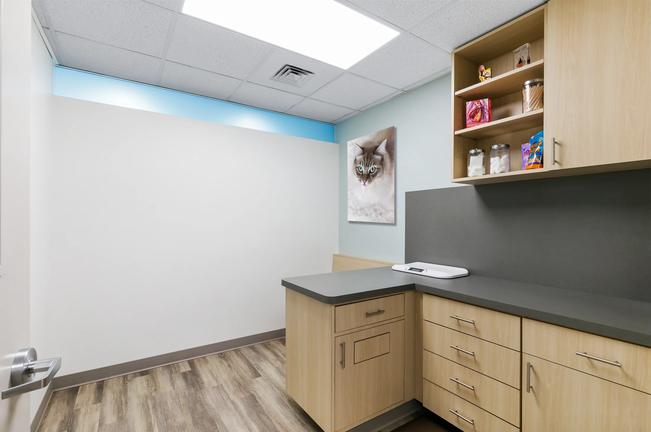 011_ClarkRdVetClinic_Leader-Sawa.JPG