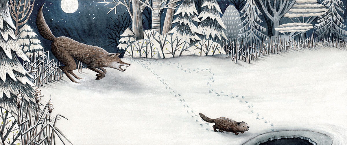 Build Beaver Build coyote in snow.jpg