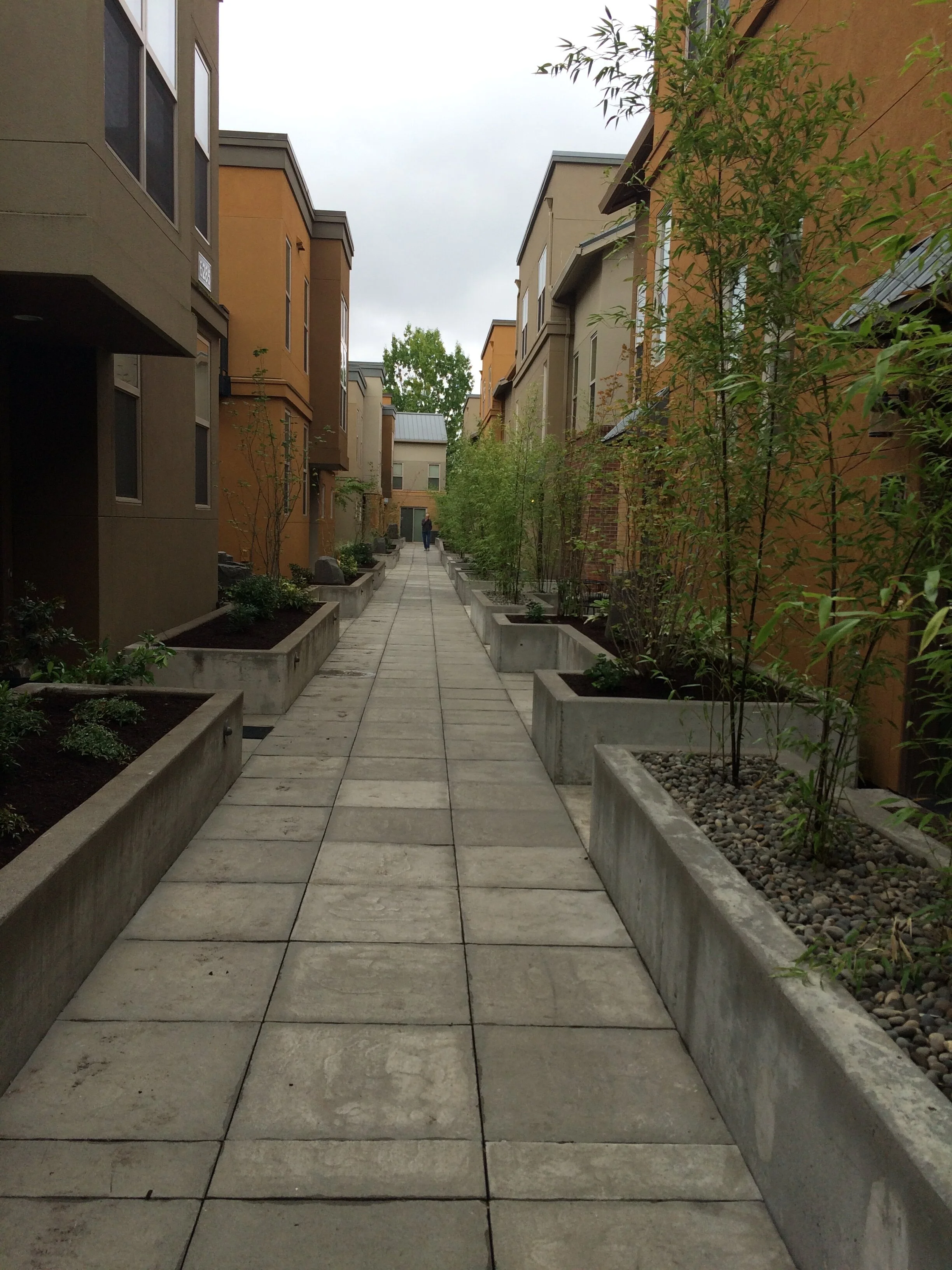 Projects — Cascadian Landscapers Inc.