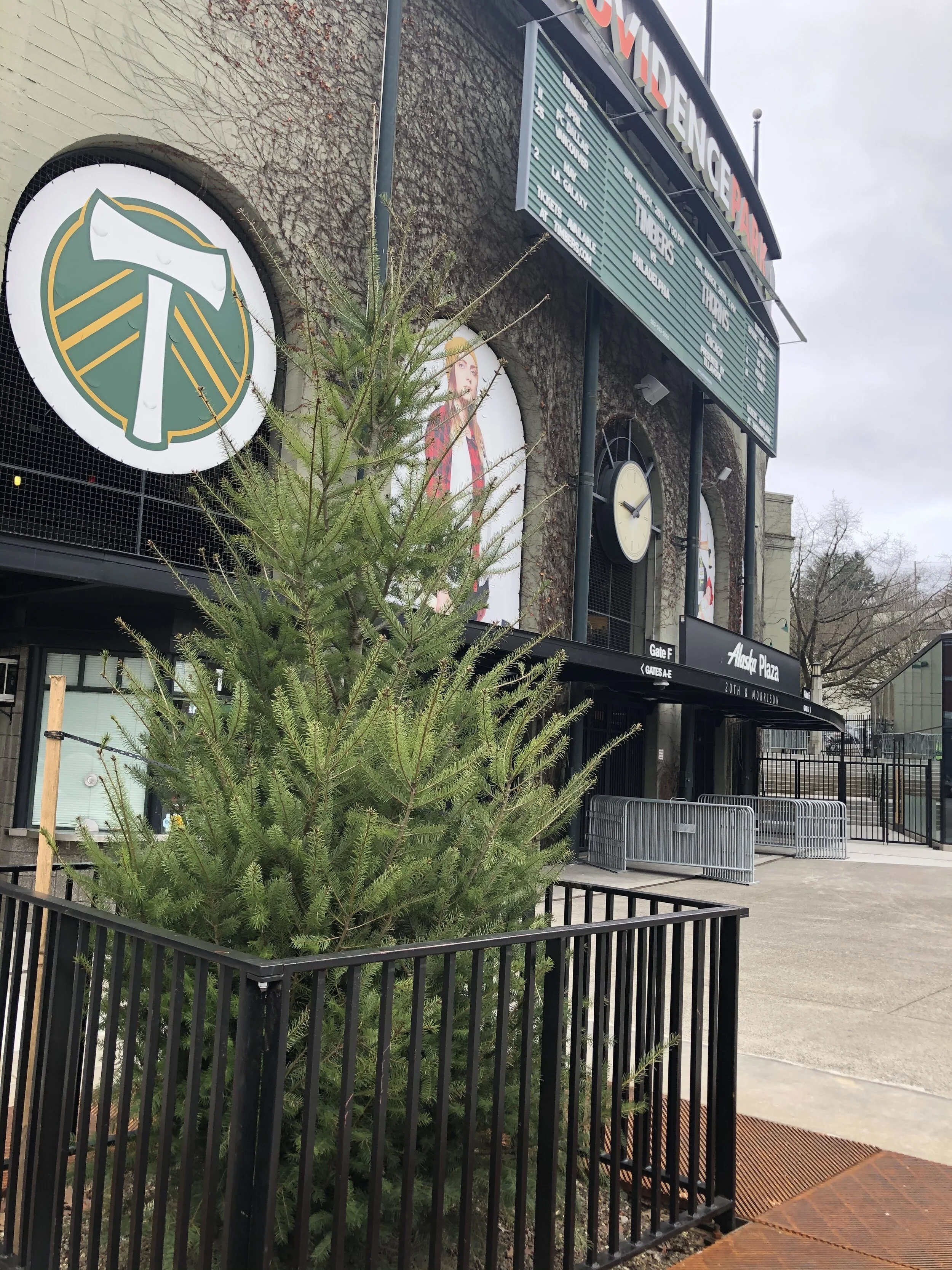 Providence Park Trees