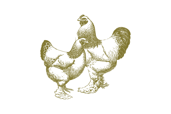 A stylized illustration of a turkey with a drake on top, all in a gold color on a black background.