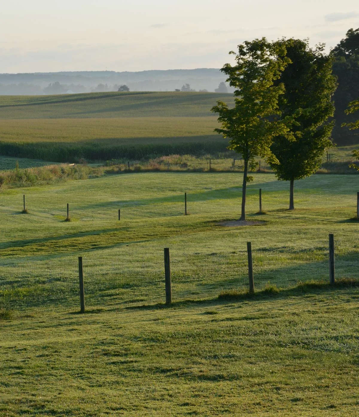 Open grassy field with young trees at Hess Farm in Ashland, Ohio.