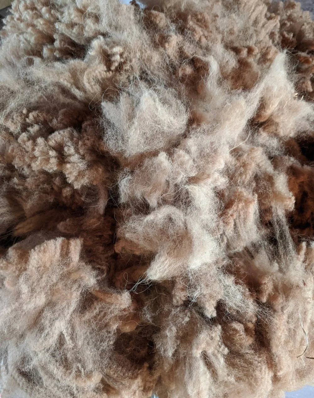 Raw Alpaca Fiber