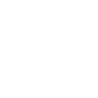 Black and white drawing of a hen with detailed feathers