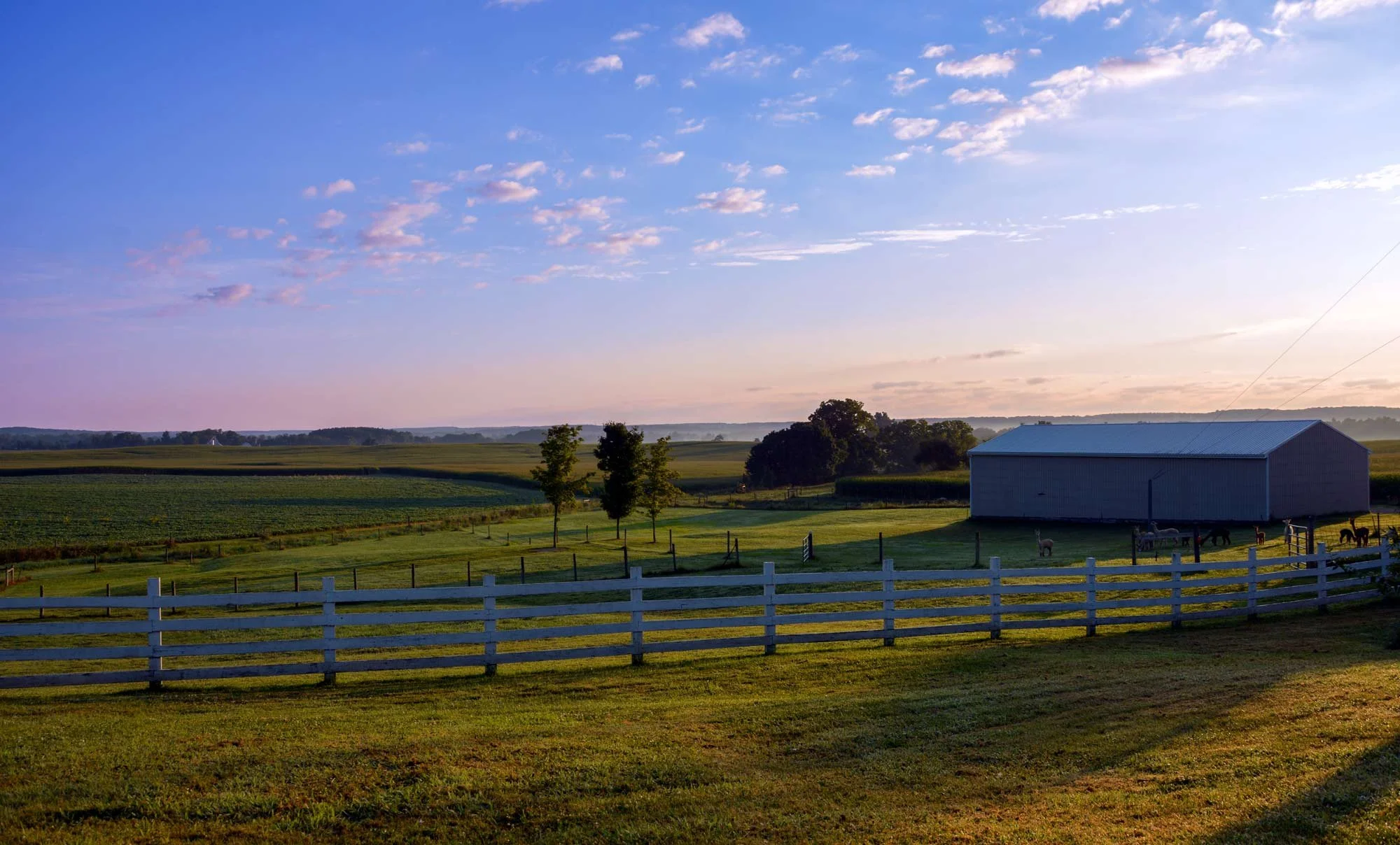 A rural landscape at sunset with a barn, horses grazing, trees, a white fence, and rolling fields under a sky with scattered clouds.