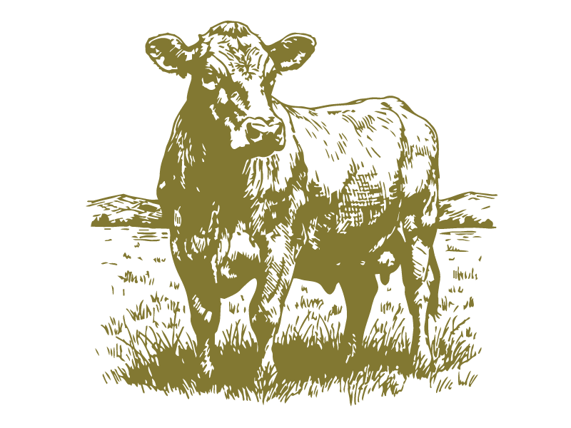 A stylized, gold-colored illustration of a cow standing on grass with hills in the background.