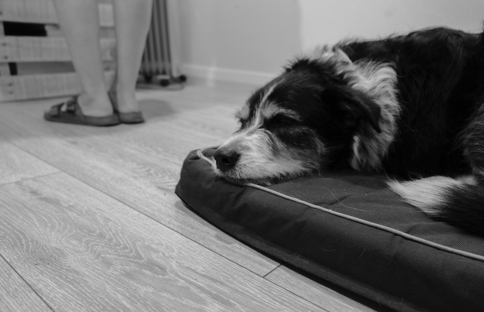 Screen Shot 2019-11-09 at 5.59.03 pm.png