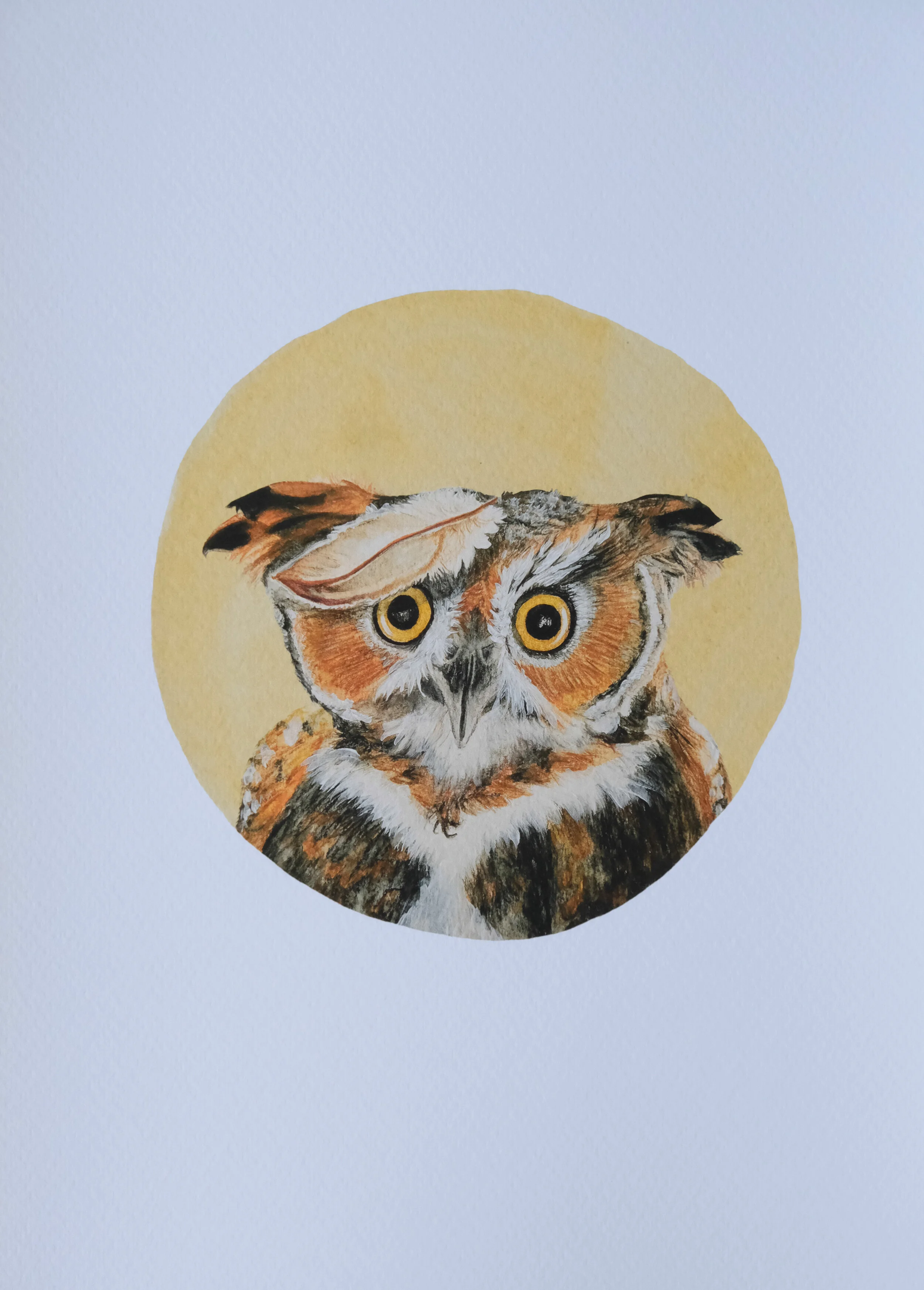 Owl Art Print