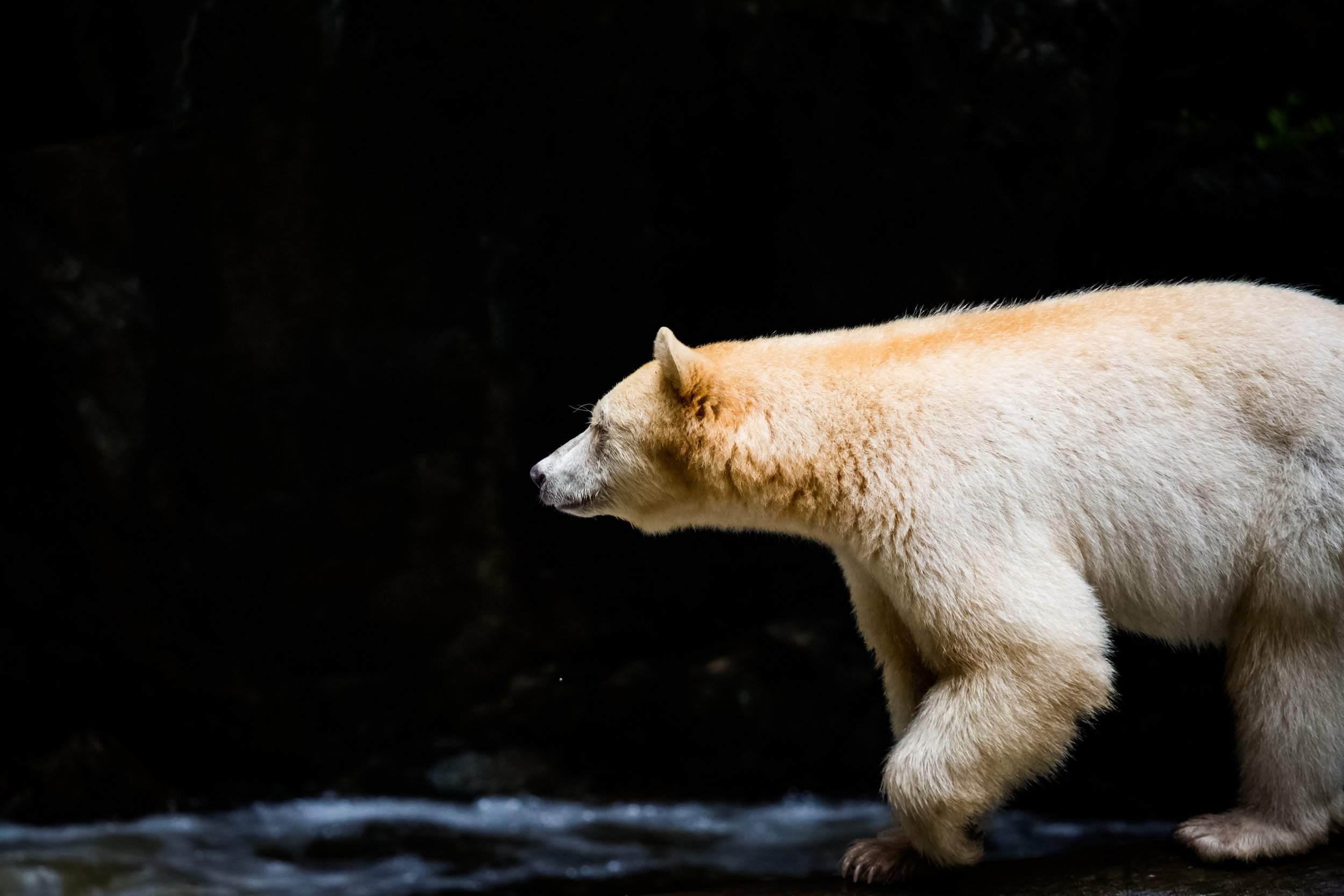 AdobeStock_290444292.jpeg