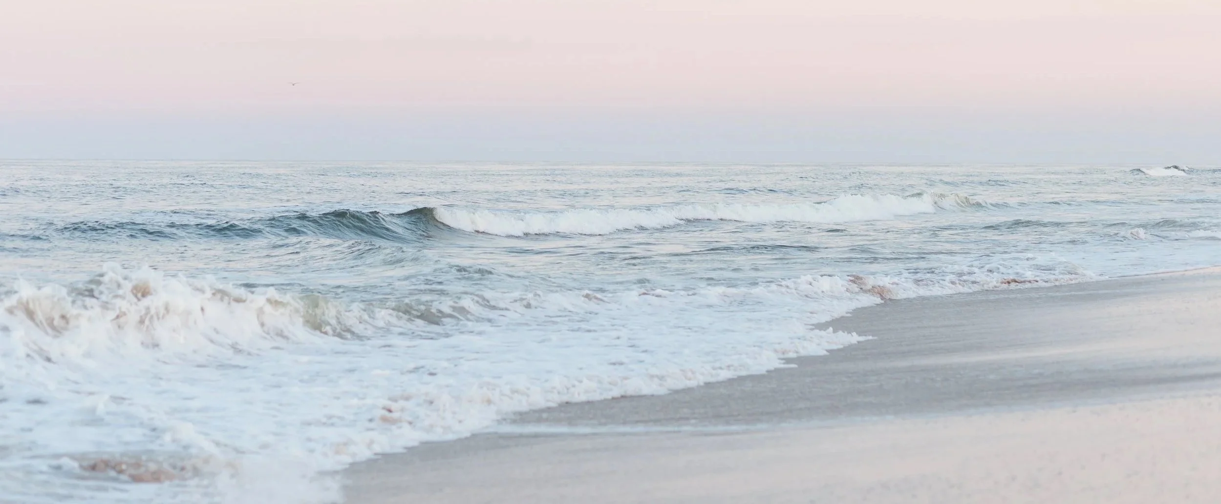 SIREN OCEAN.jpg