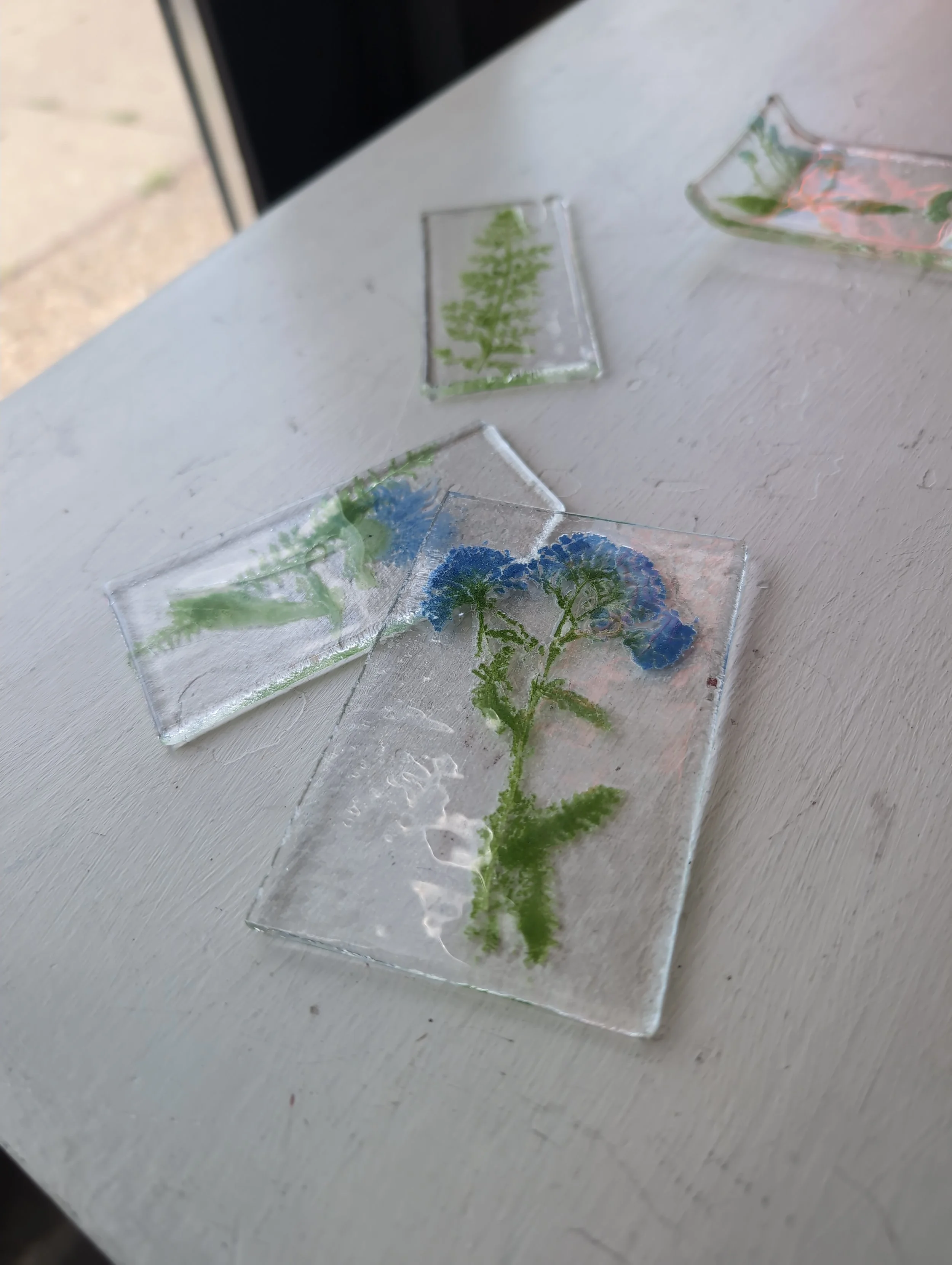Emma Wood Fuses Botany with Kiln-Formed Glass
