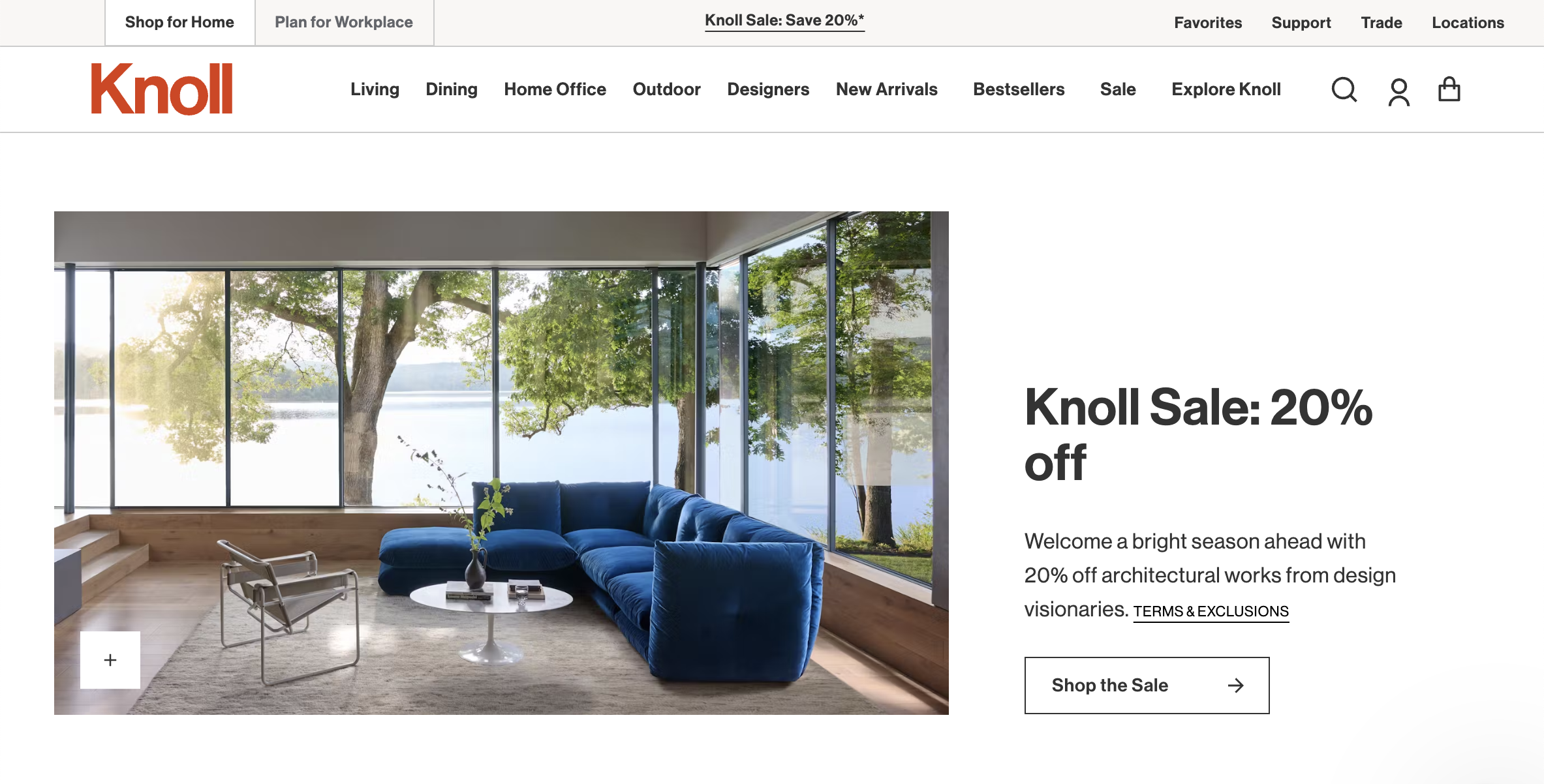 knoll-2025-2.png
