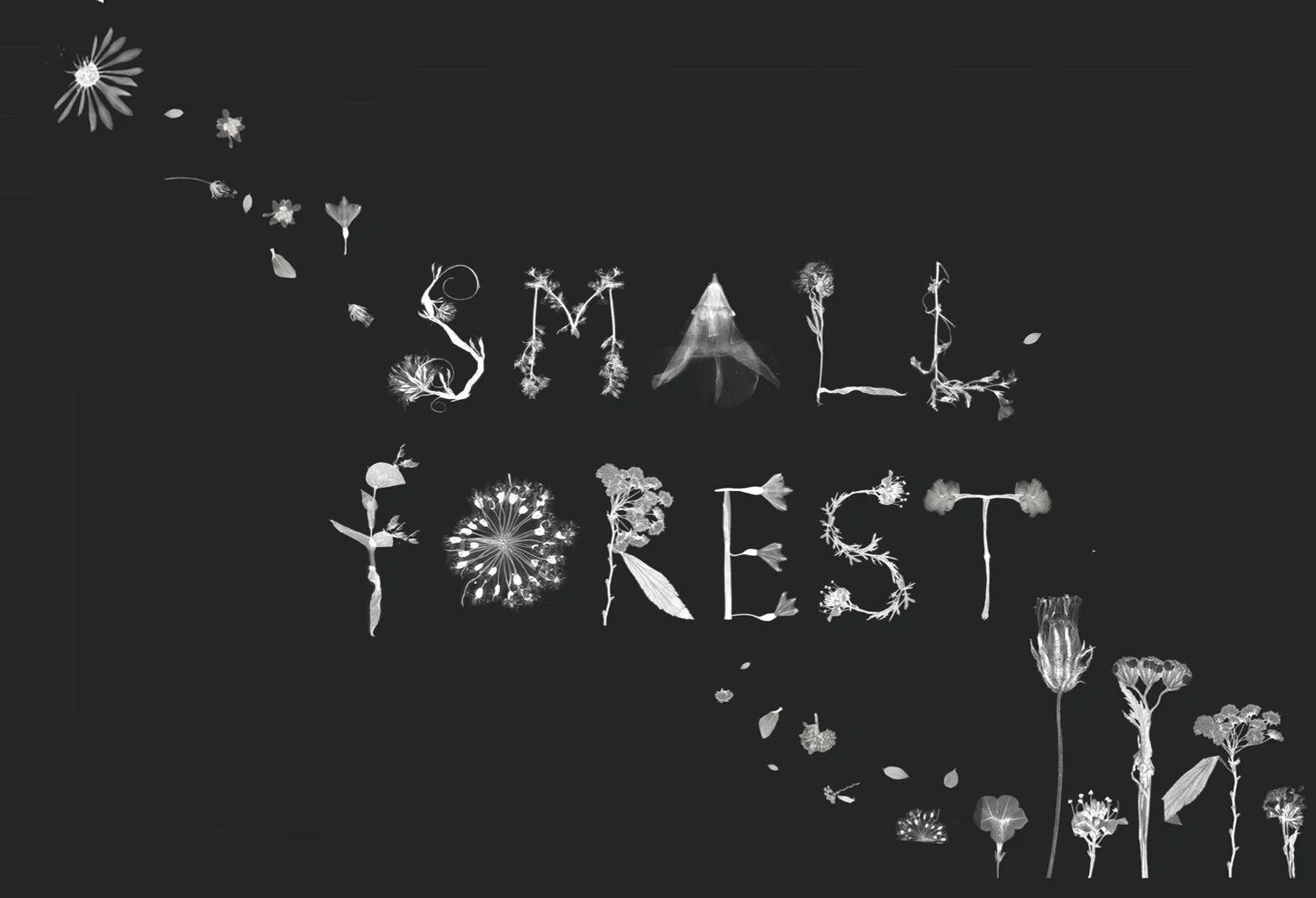 03_SmallF_Poster.jpg