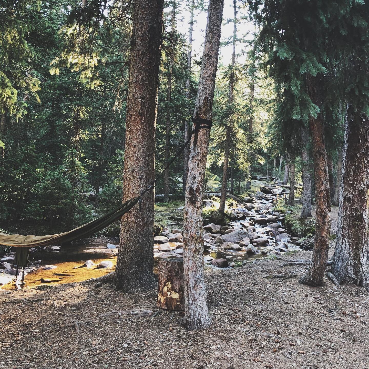 Wishing it was still the weekend 🌲✨

Did you know that The Burger Buddy is a perfect tool to bring camping?!

It&rsquo;s reusable and lightweight&mdash;making it a green product and easy to carry along!

Check them out on our website or through Amaz