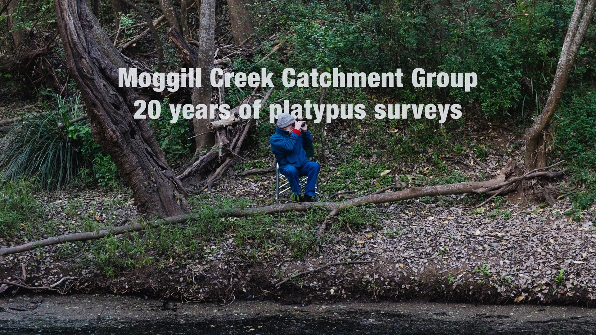 Moggil Creek Catchment Group - 20 years of platypus survey