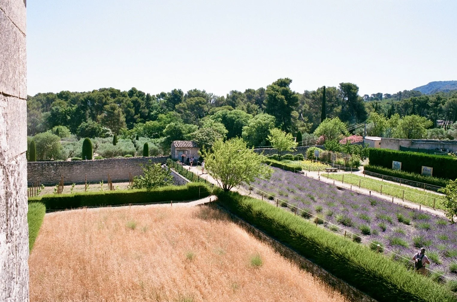  The view from Van Gogh’s window at the Saint-Paul Asylum, Saint-Rémy 