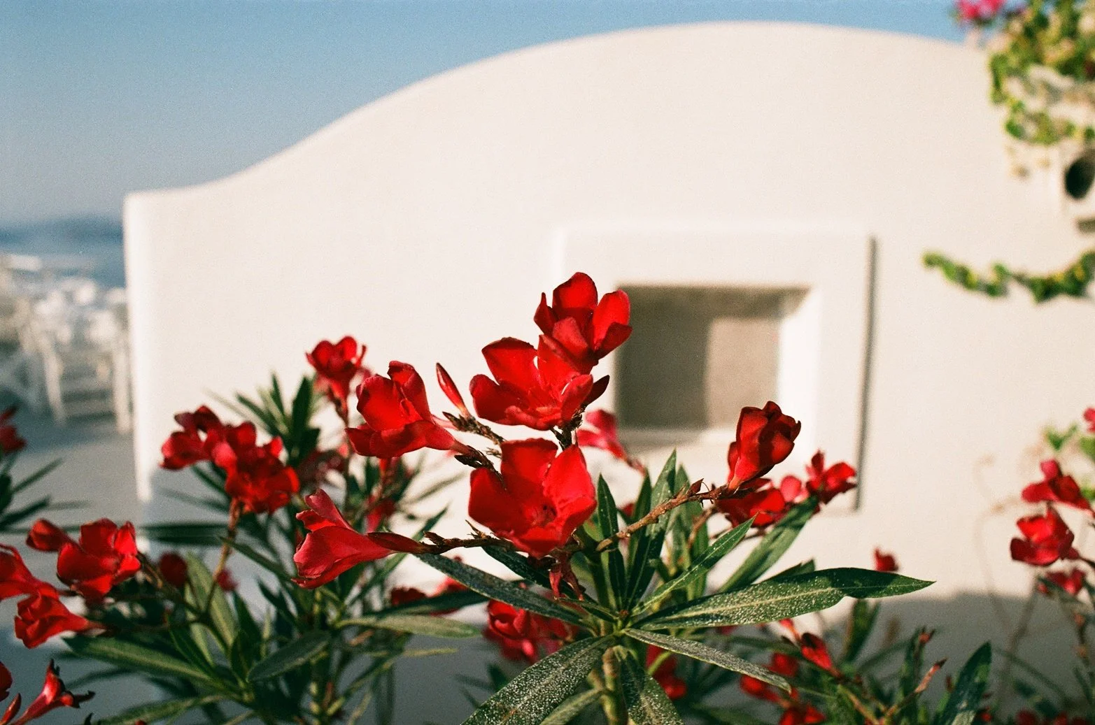  Early morning photos in Santorini 