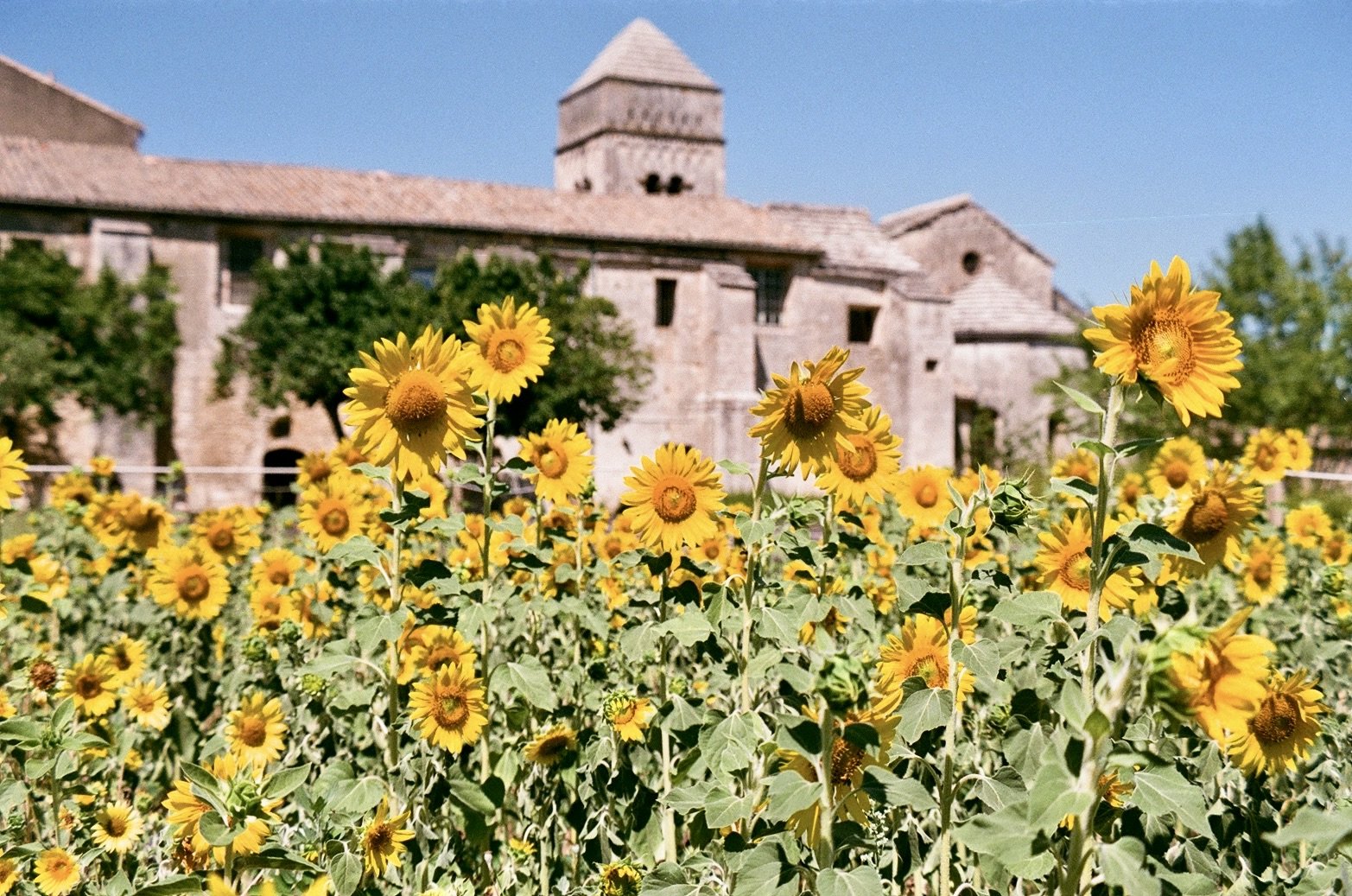  Saint-Paul Asylum, Saint-Rémy 
