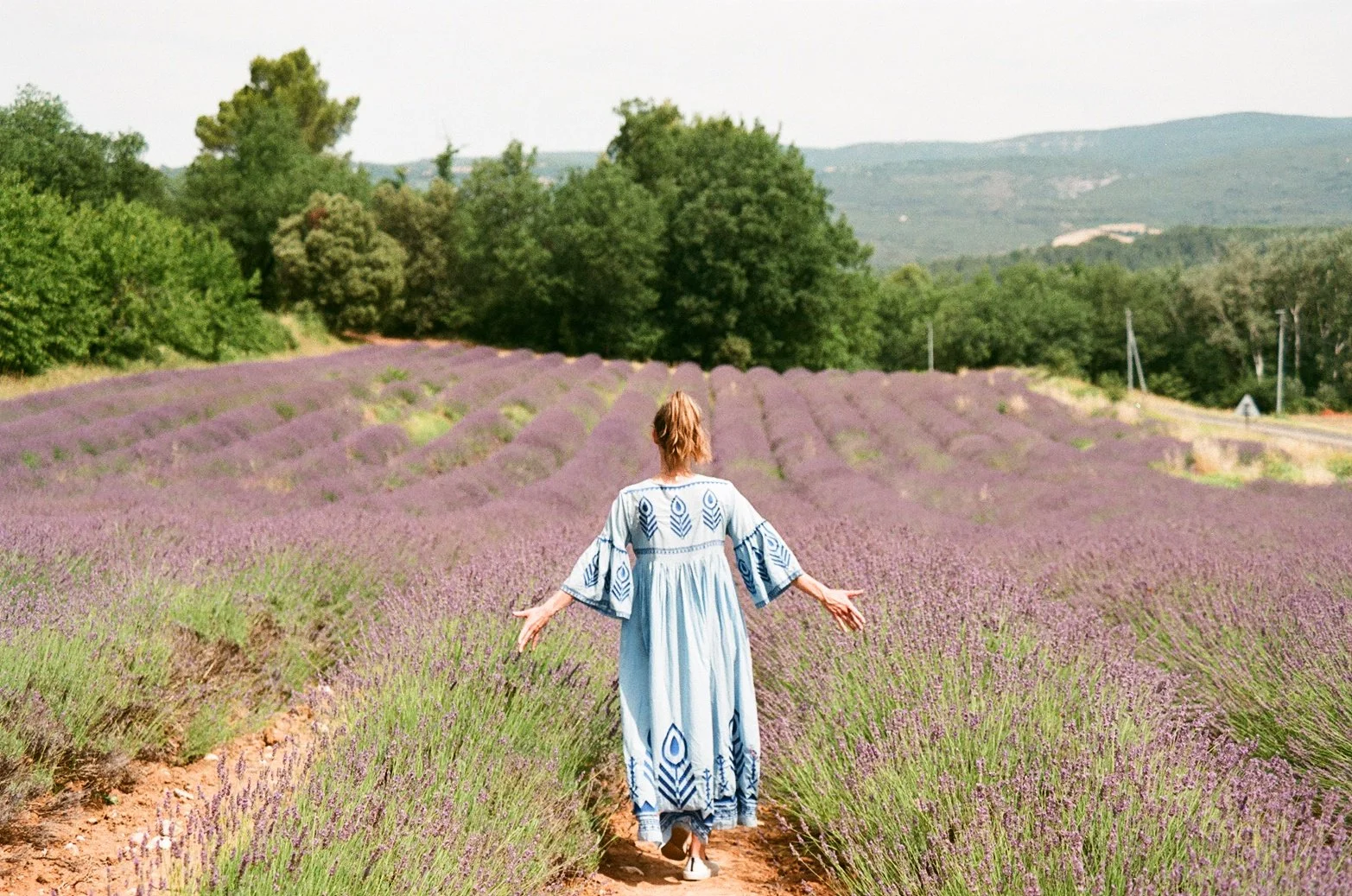  We visited Provence when the lavender fields were blooming. 