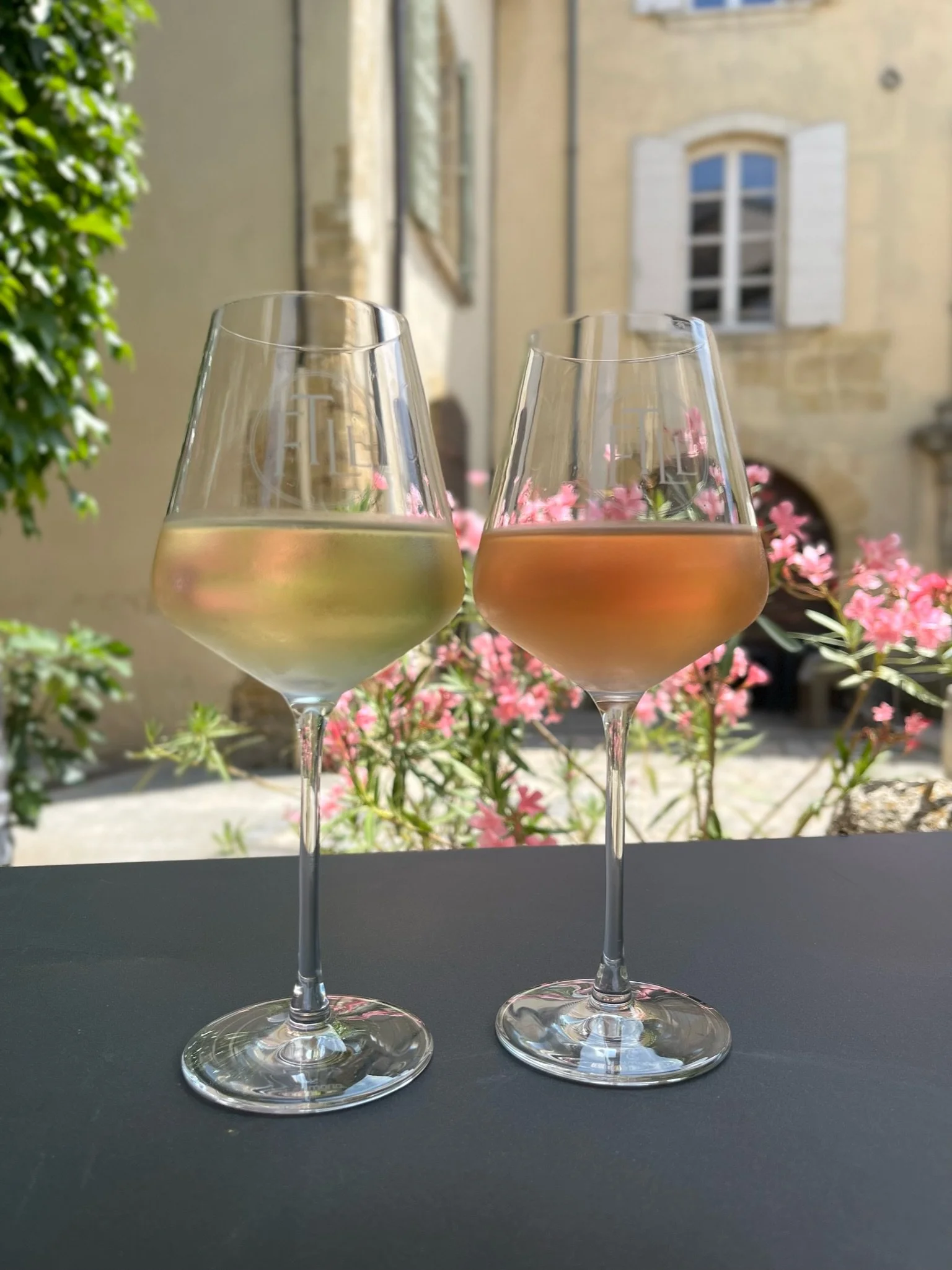  Wine on our last day. SAD! 