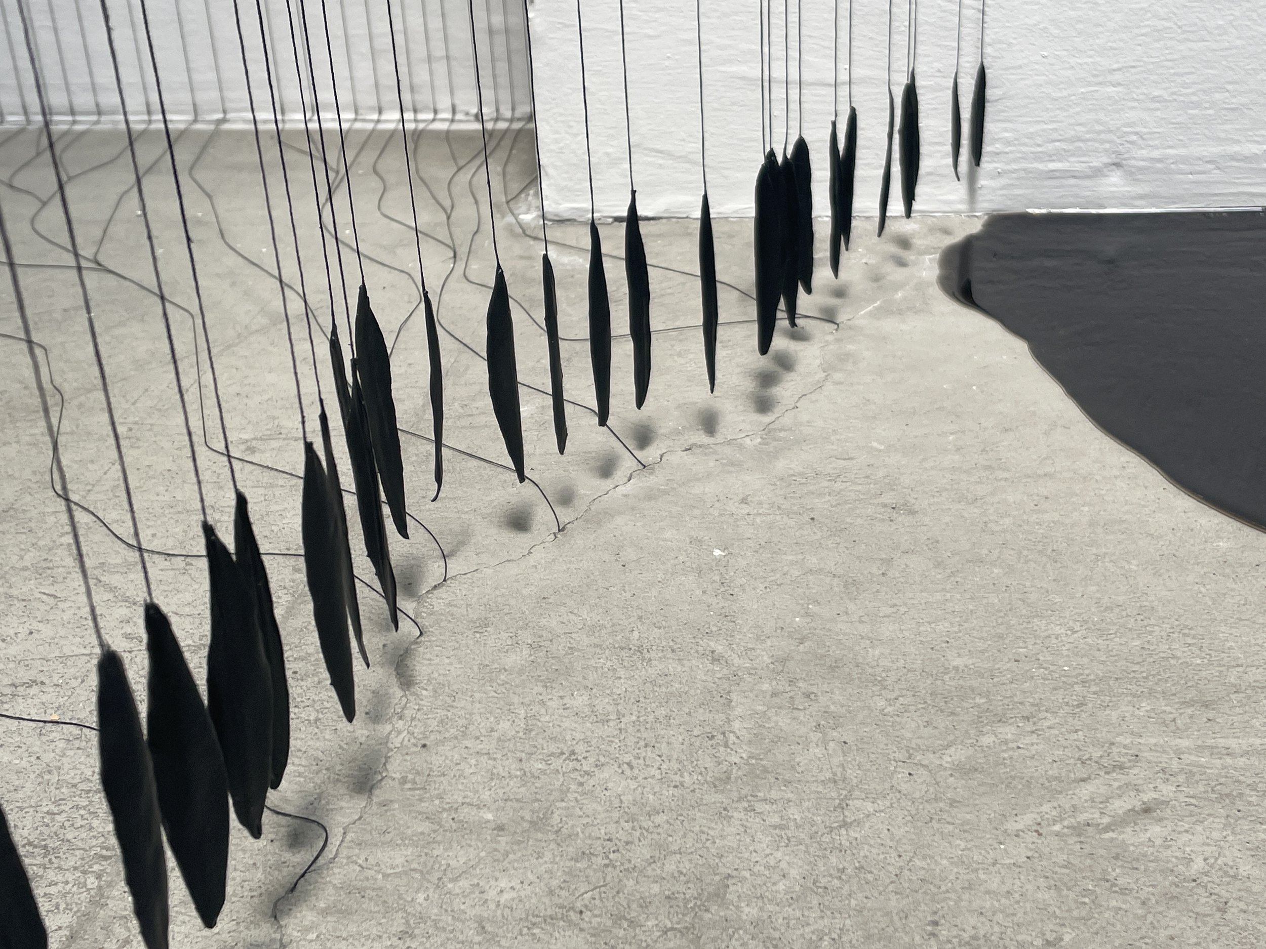  During different times of day shadows of the leaves are cast onto the gallery walls.  