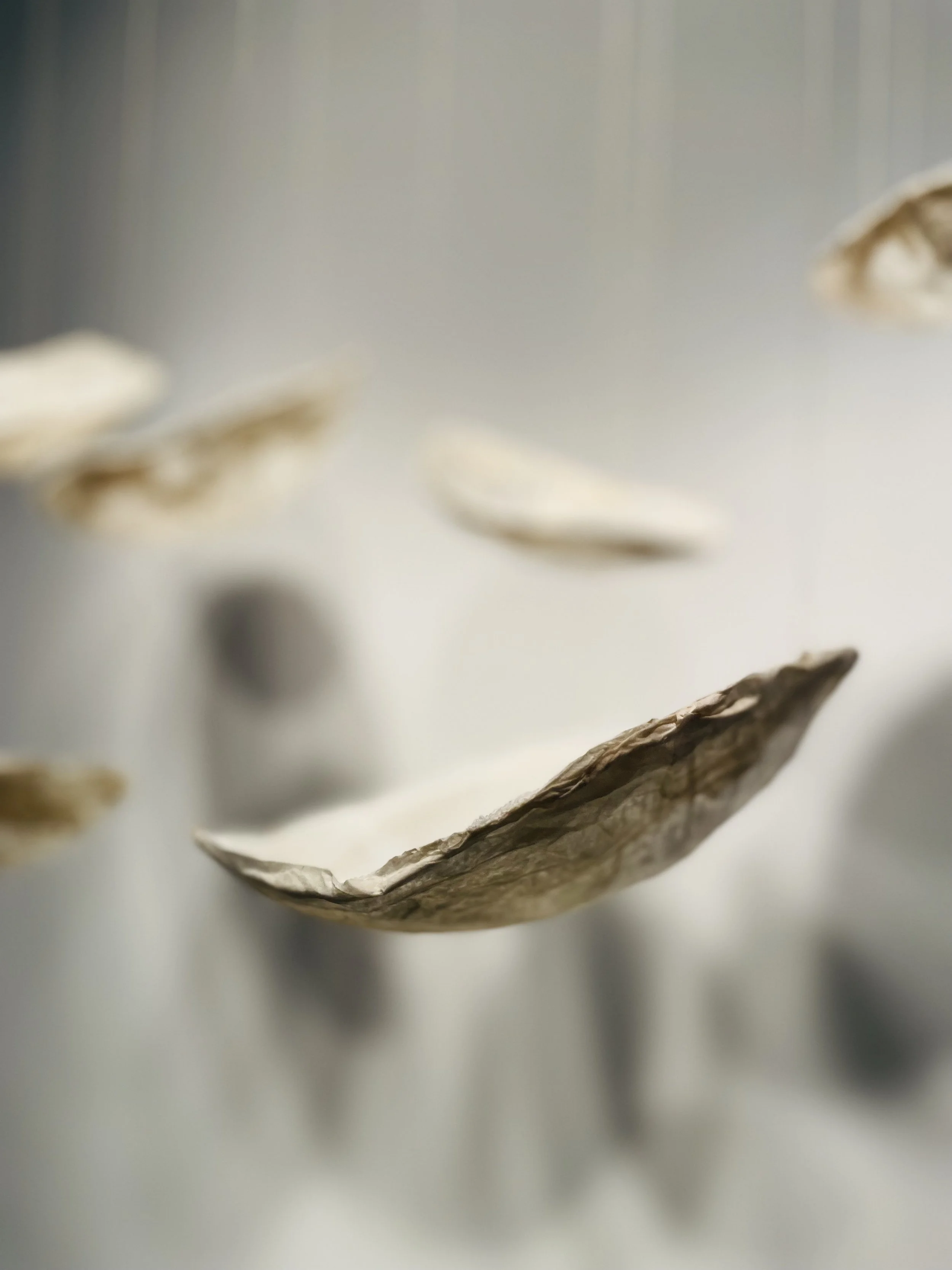 Created from a state of curiosity around what happens when the boundaries between things dissolve, when the conscious and subconscious collide, when internal and external landscapes converge, and when memories of past events and people are recalled