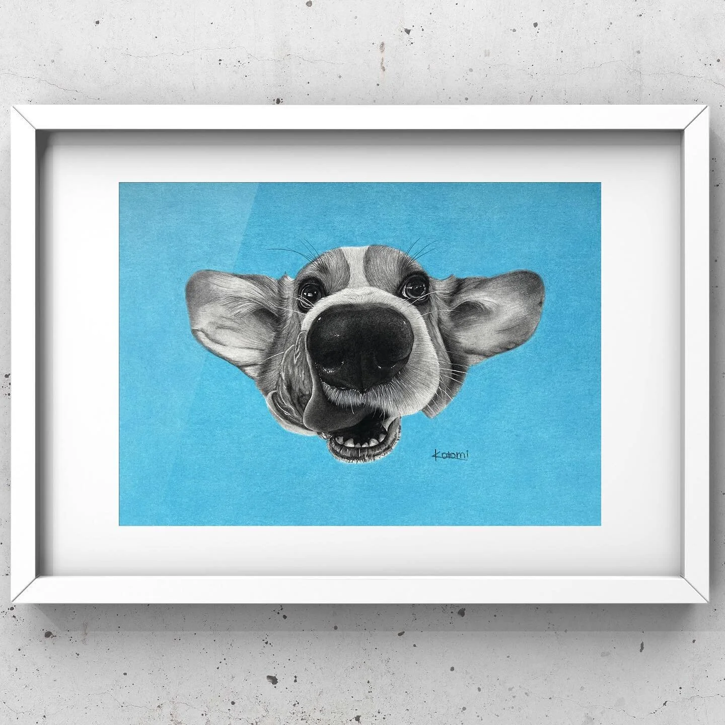 Corgi drawing for Solo 51 exhibition @academygalleries 
Its opening from today 🐶
.
.
.
#drawing #draw #ink  #sketch #sketchbook #illustration #pencilart #pencildrawing #デッサン #鉛筆画 #肖像画  #portrait #wellington #art #artgallery #blackandwhite #instaart 