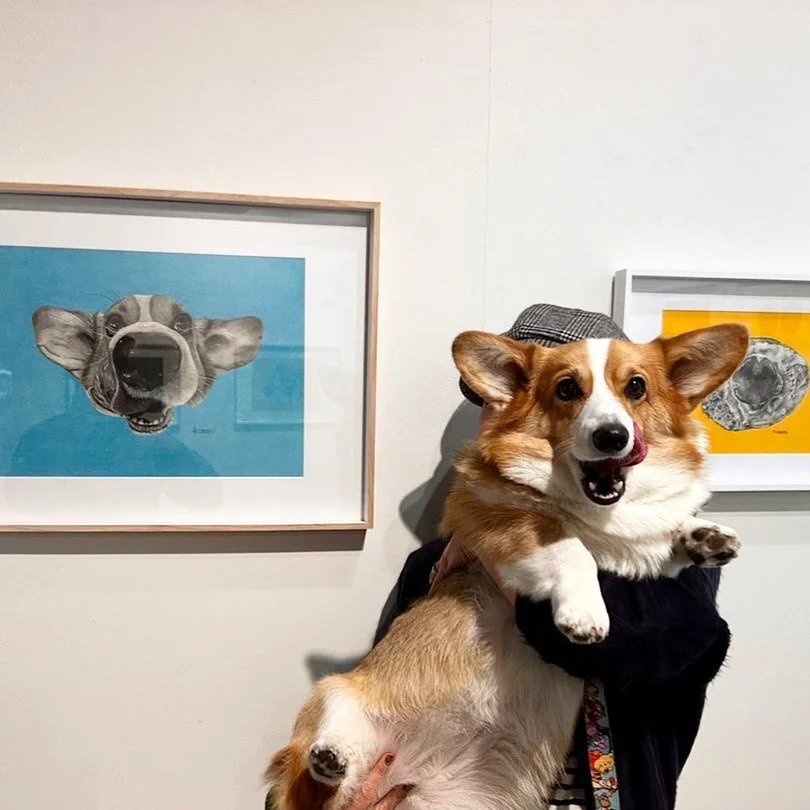 Had a good time @academygalleries gallery yesterday with my special guest @momathecorgi . She is an amazing model of mine 🐶
Thank you all who talked with us yesterday 😊
This Solo 51 exhibition runs until 18th Jun 🍳
.
.
.
#drawing #draw #ink  #sket