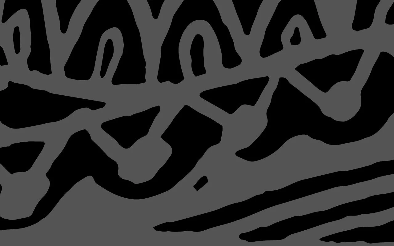 Los Sombreros Pattern.jpg