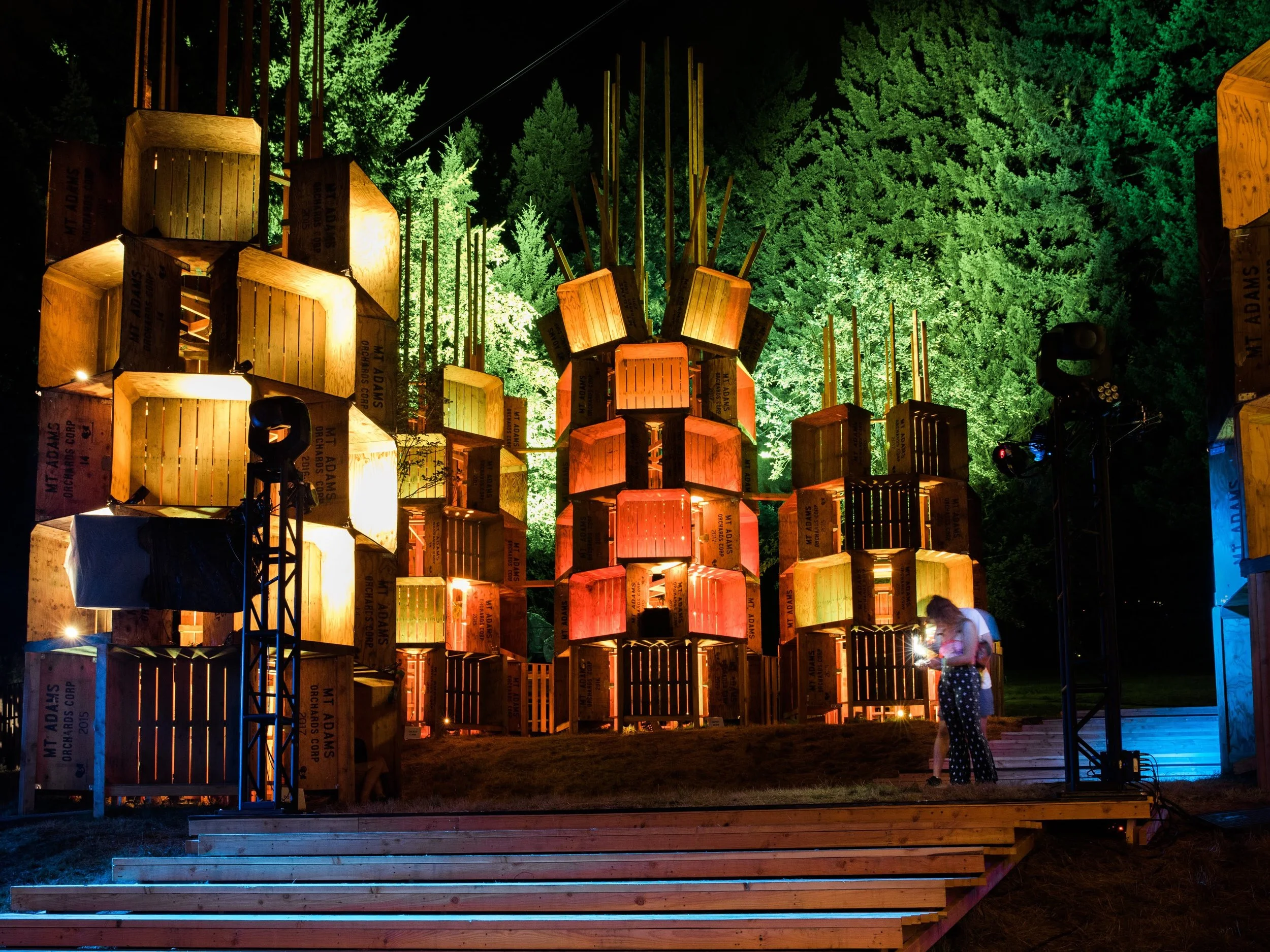 2019_Erin_Riddle-457_Treeline Stage 4-3.jpg