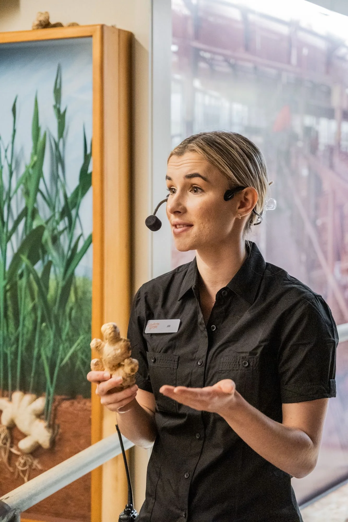 Taste of Ginger Tour now at The Ginger Factory