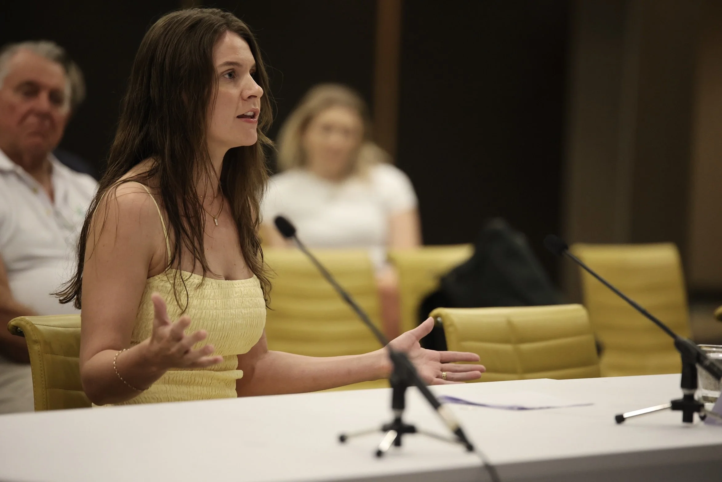 Helen Tagg tells MPs Nambour cannot wait for safety action