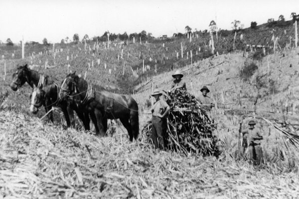 Mapleton was a very different landscape than it is today — The Sunshine Valley Gazette