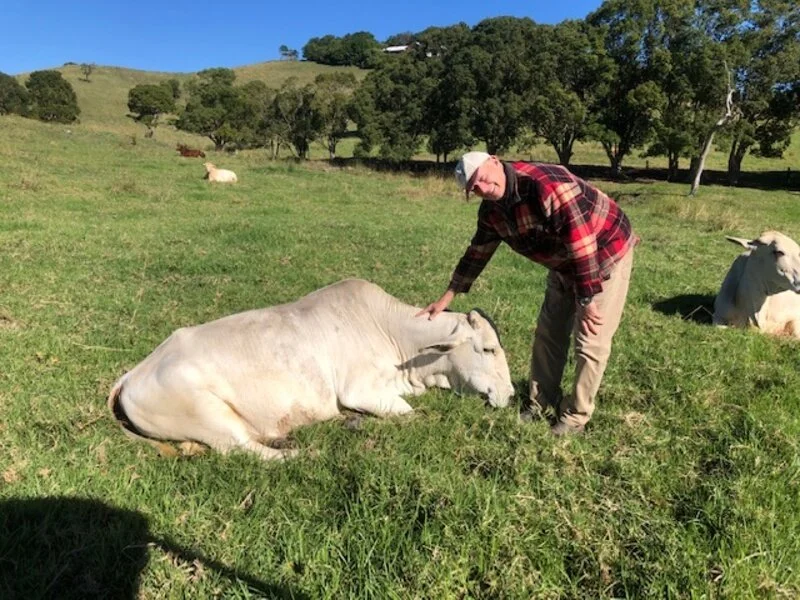 John, pictured, and Lis Allen recently sold their lovely Sunshine Coast Hinterland property, “Dulong Downs”.