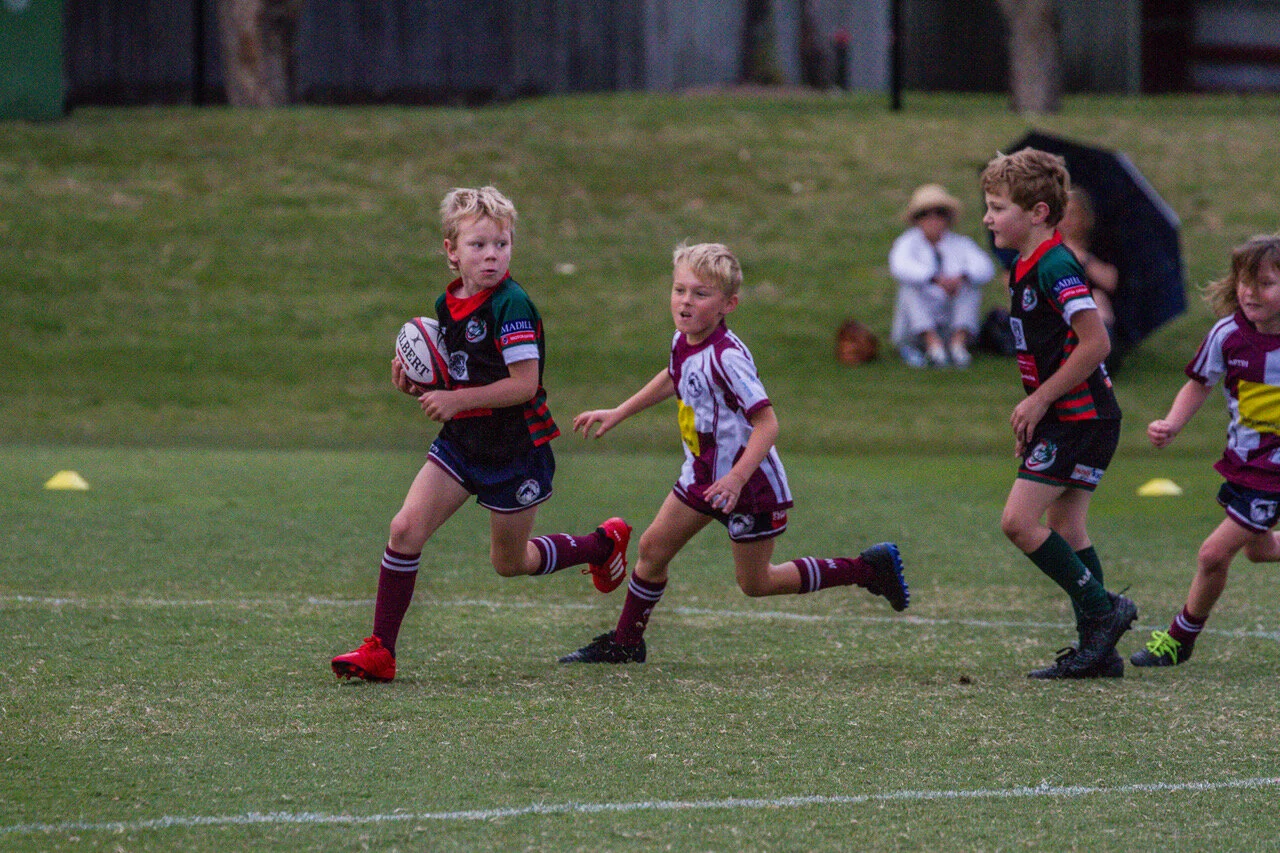 Eumundi Rugby4.jpeg