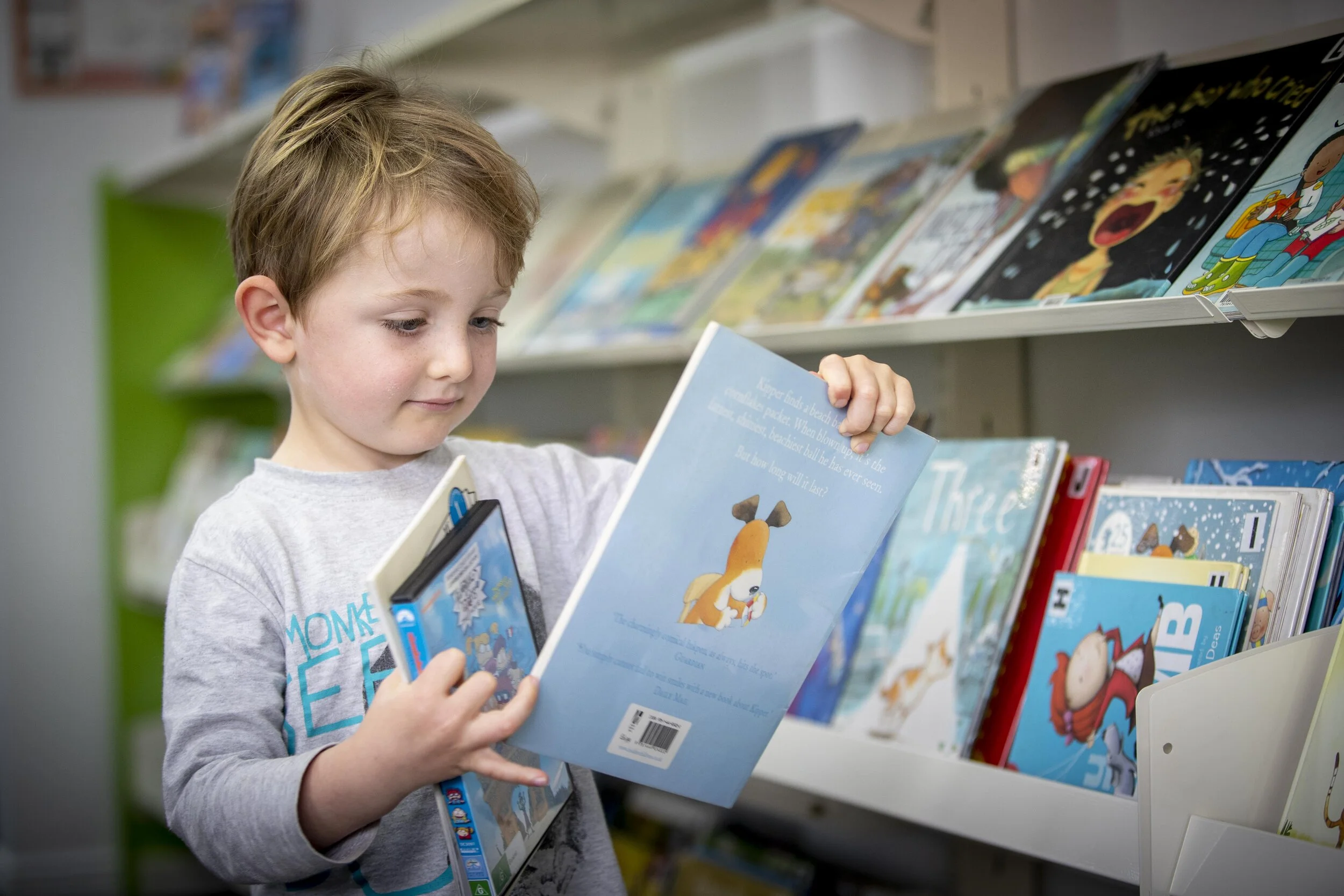 maleny library kids reads.jpg