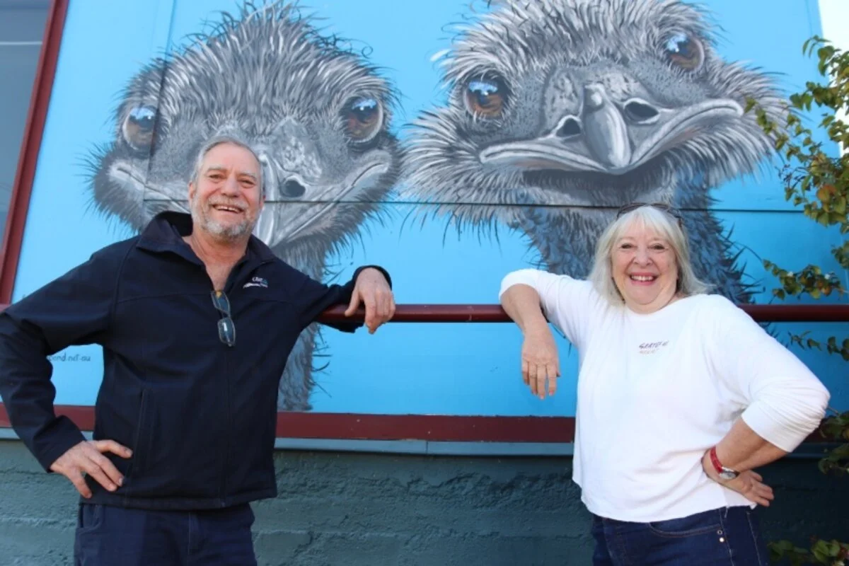 Mural Month to give Nambour, businesses and artists a boost