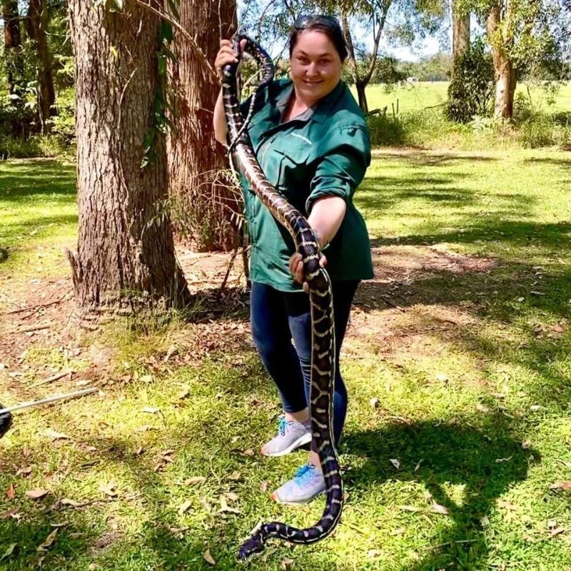 Snake catcher overcomes phobia to launch career in reptile wrangling