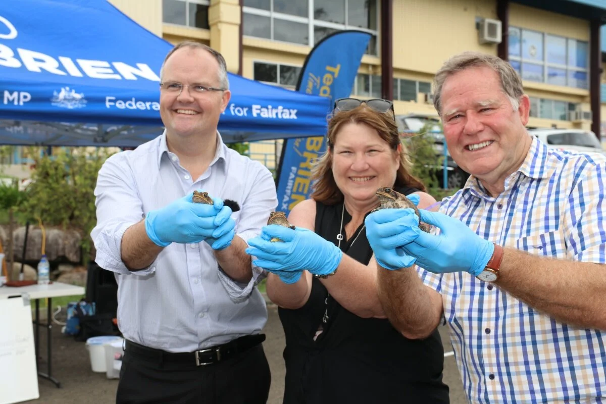 Toad race raises funds for mums