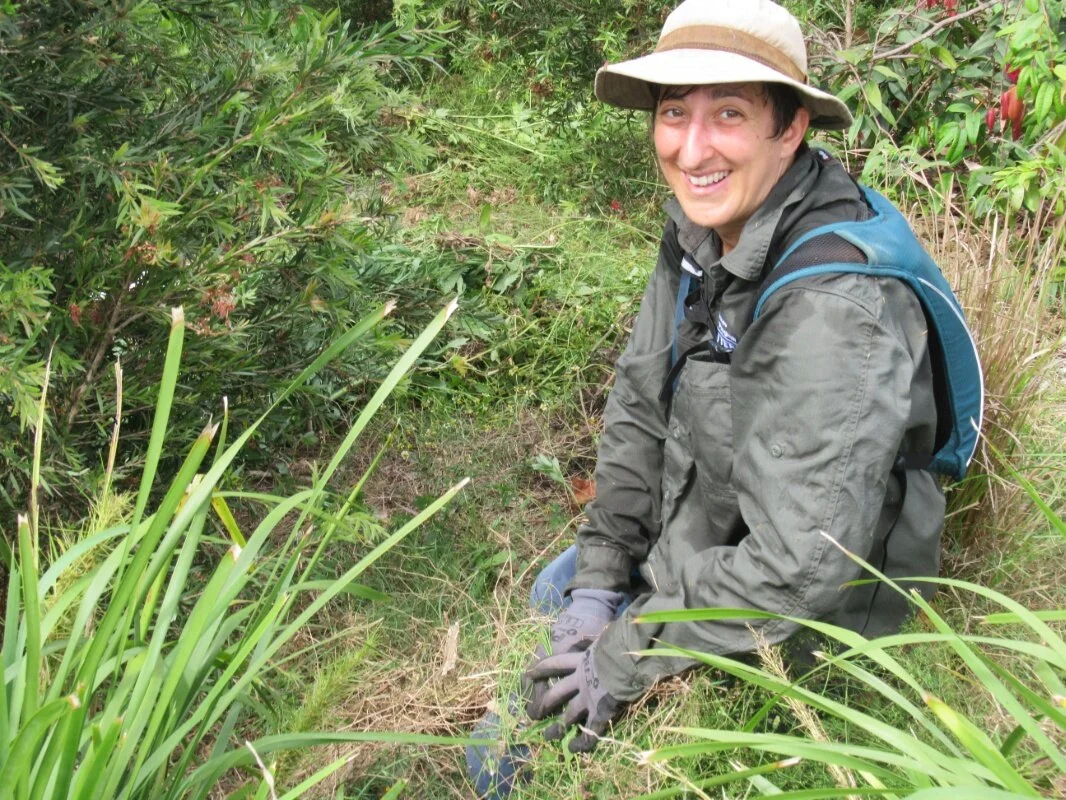 New Year’s resolution: do something practical to help the environment