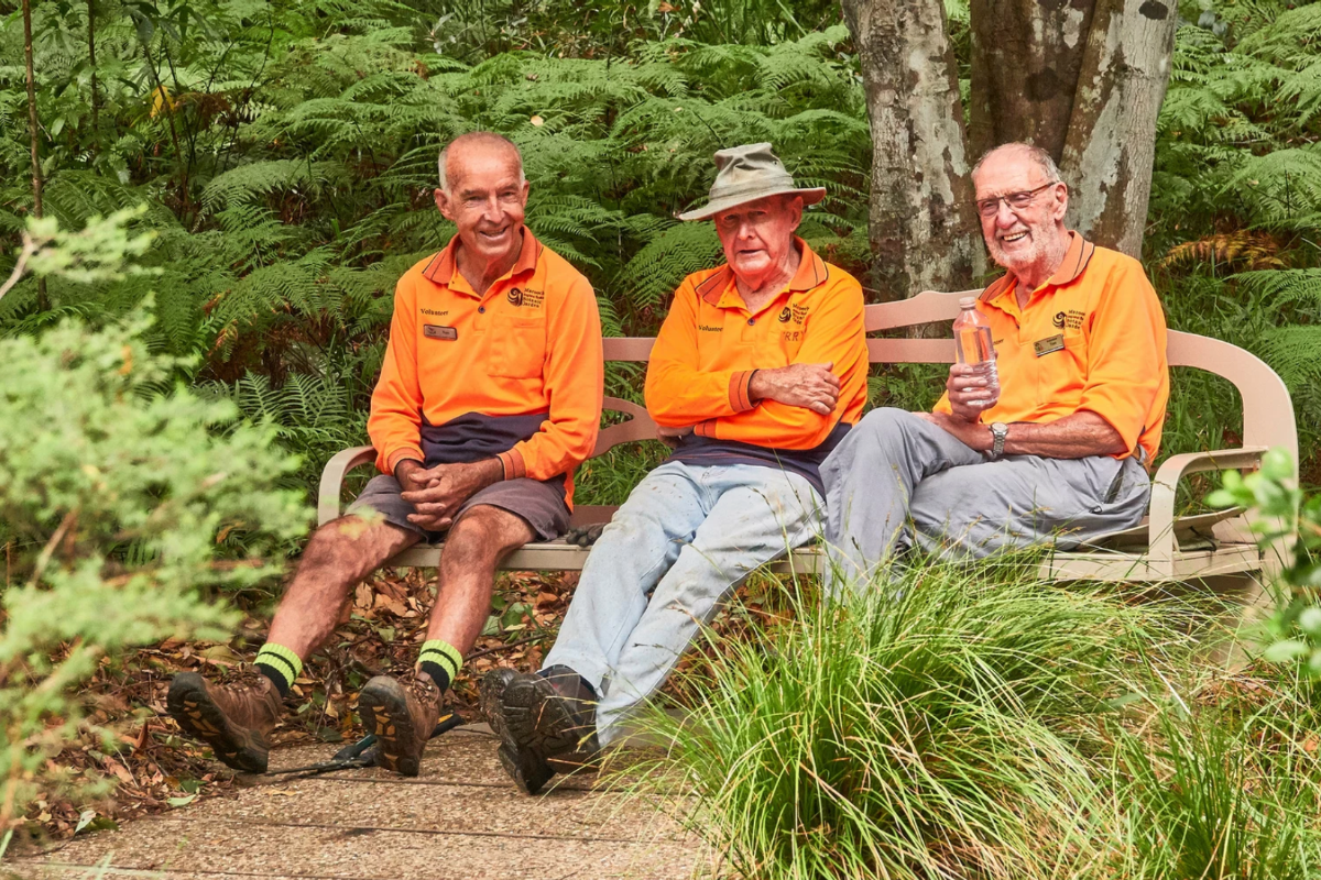 How you can volunteer to promote and protect our local bushland
