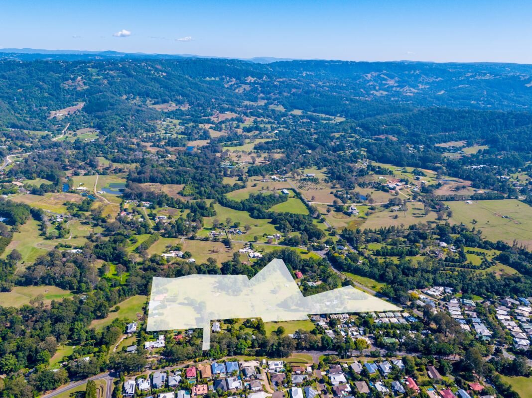 Palmwoods resort site preview event