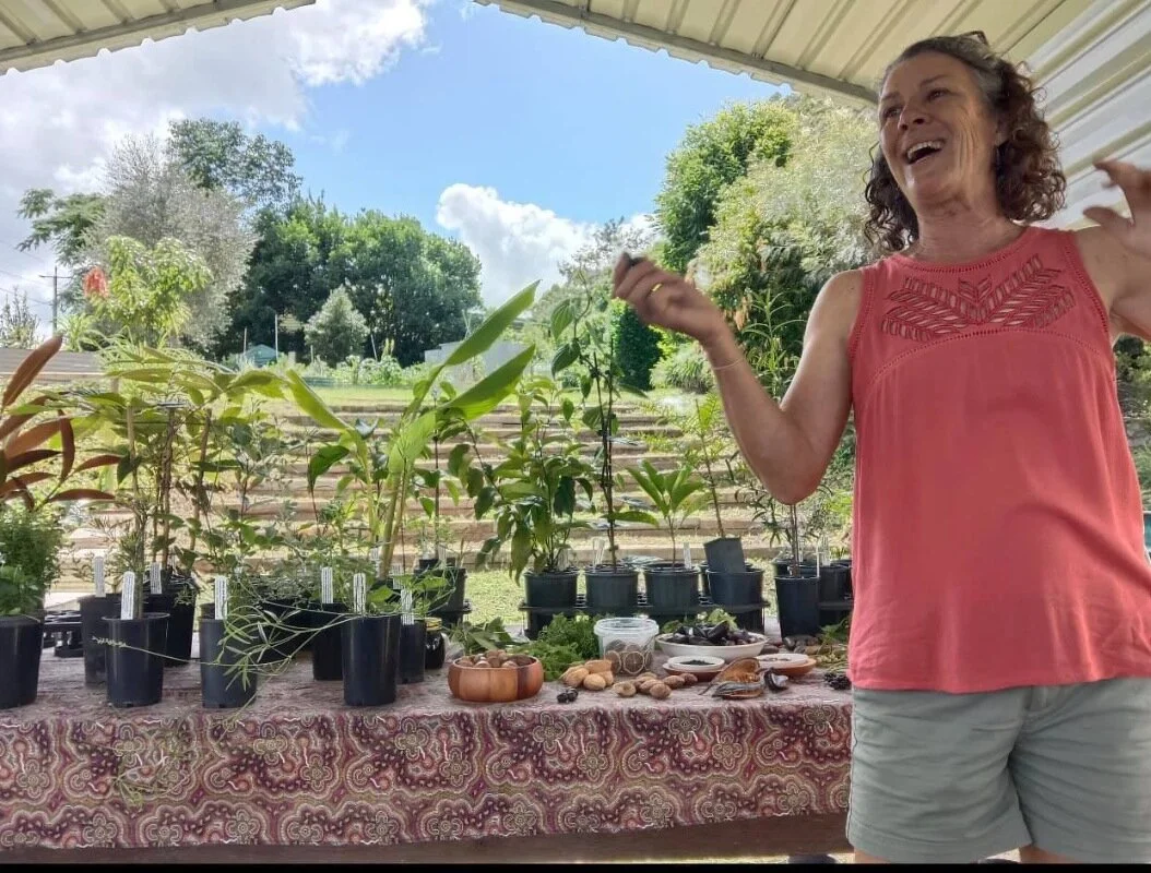 Earthly pursuits are growing at  Palmwoods Community Garden