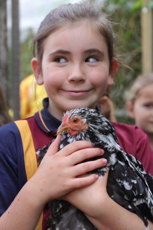 Maleny Primary School's Poultry Club kids cock-a-hoop about Show — The ...