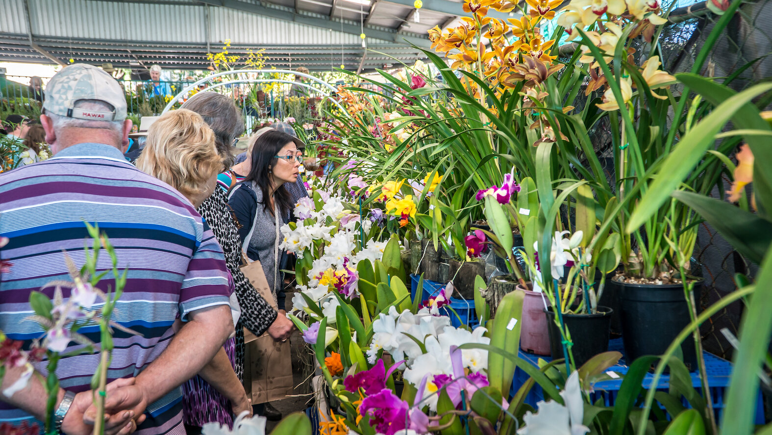 Queensland Garden Expo targets a growing audience