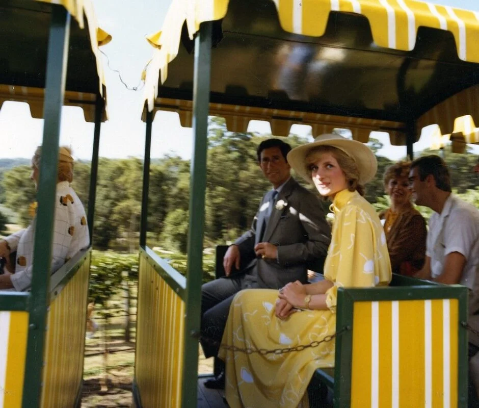 Princess Di’s  carriage unearthed just in time for  Big Pineapple’s  50th birthday  