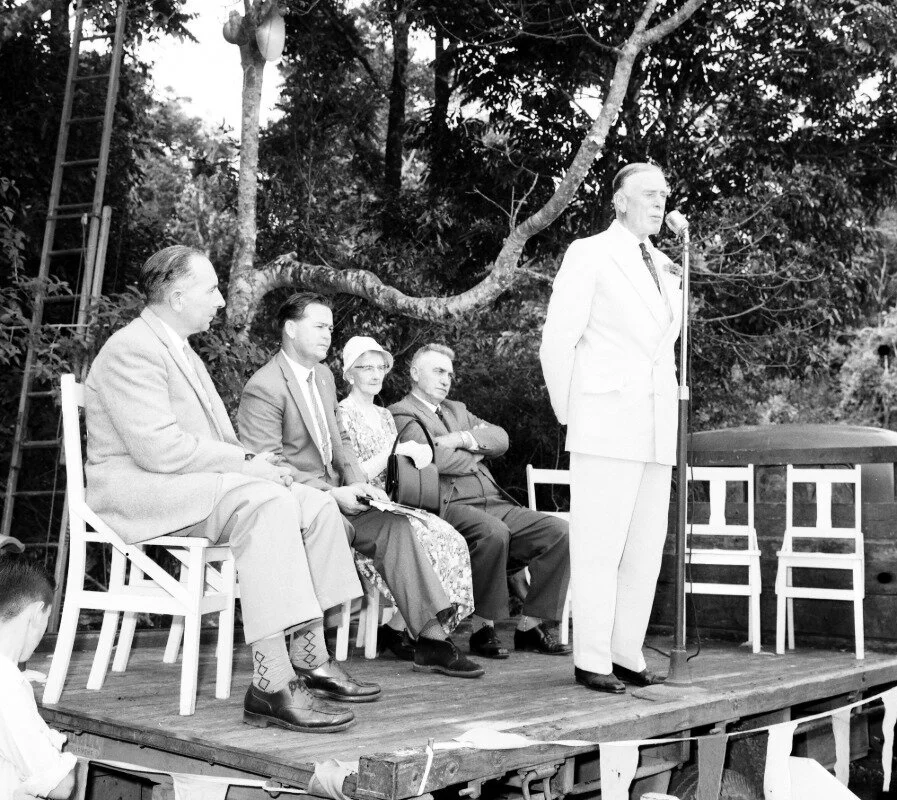 Invitation to celebrate 80 years of Mary Cairncross Scenic Reserve