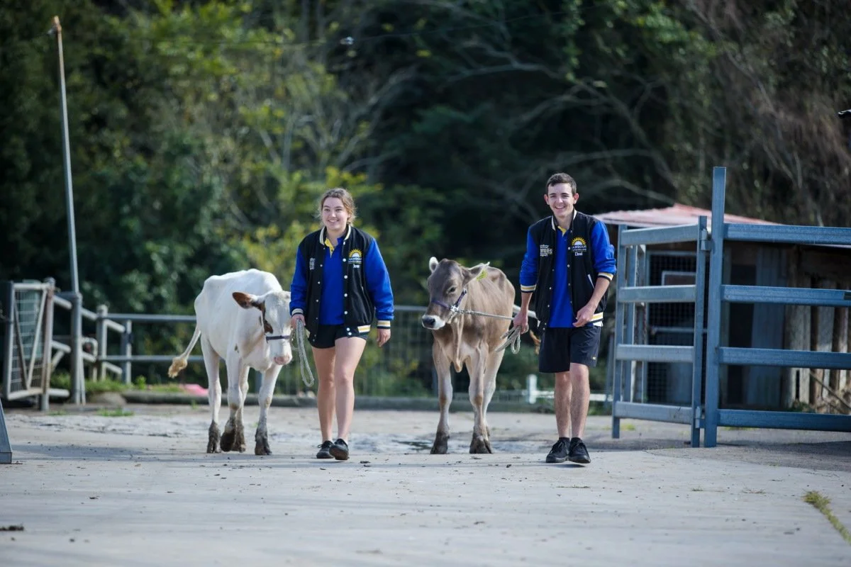 NSC COLLEGE WORKING FARM 4.jpg
