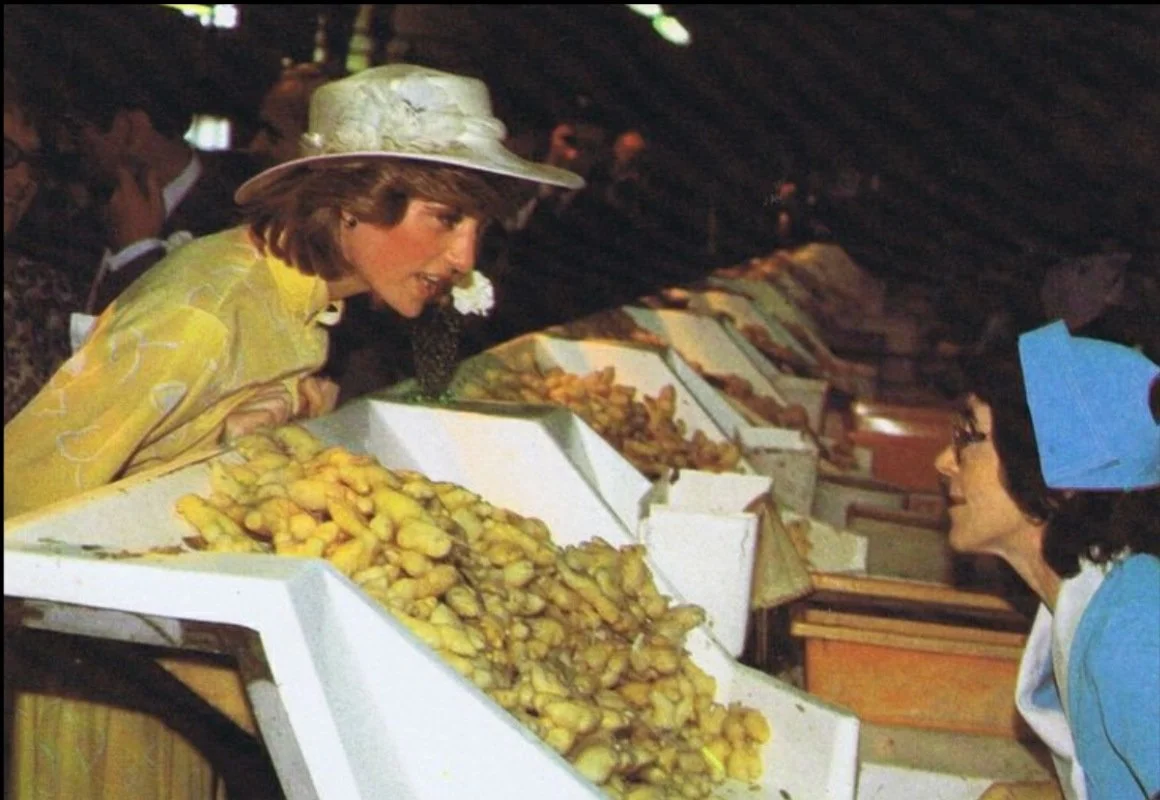 Buderim Ginger to unveil mural by local artist to celebrate 80 years